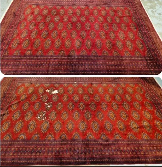 Purification tapis d'Orient