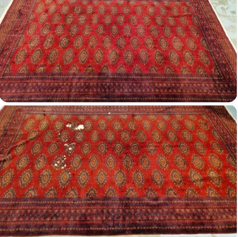 Réparation de dégâts de mites sur tapis